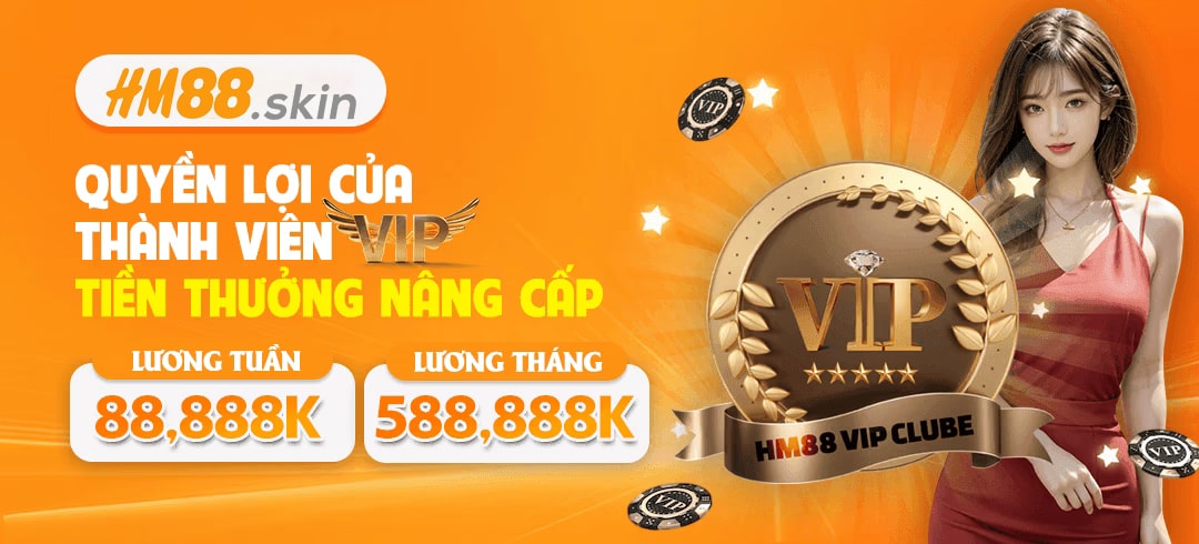 baner hm88 2