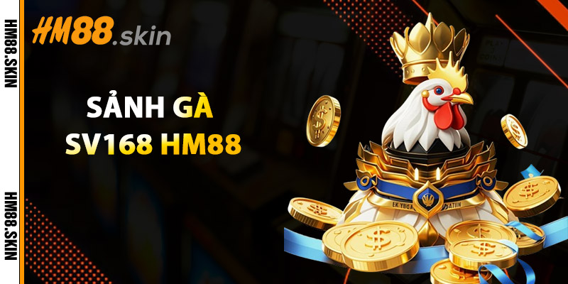 sảnh đá gà sv168