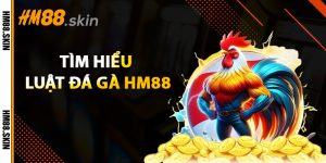 tìm hiểu luật đá gà