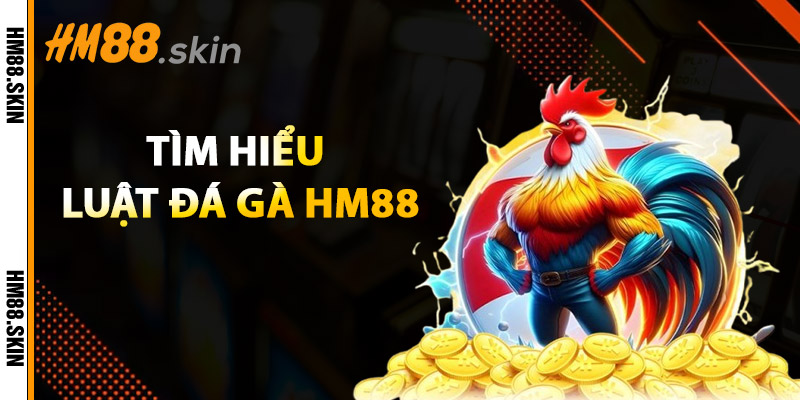 Luật Đá Gà HM88 – Hướng Dẫn Soi Kèo Và Áp Dụng Chuẩn 1 tìm hiểu luật đá gà